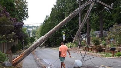 Image for story: What makes a Western Washington windstorm?