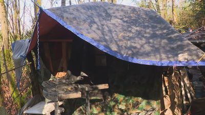 Image for story: Homeless man who dug up Seattle park with an excavator has now built a cabin there 