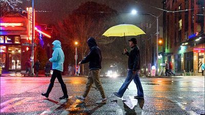 Image for story: What's the difference between 'rain' and 'showers'?