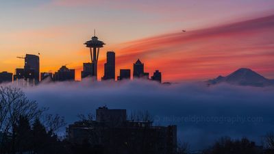 Image for story: What is the dew point, and how does fog form?