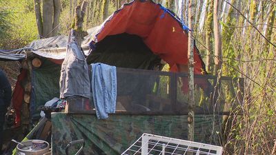 Image for story: Crews remove cabin and makeshift-mine that homeless man built in Seattle park 