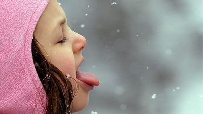 Image for story: Weather: The odds of an El Niño winter look favorable in western Washington
