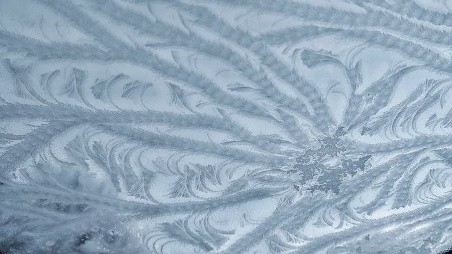 Frost ferns on this sunroof the morning of March 6, 2023. Photo Credit: Little Bear Creek Weather{p}{/p}