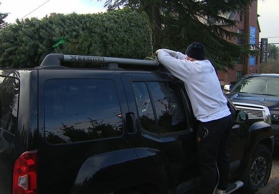 Image for story: Seattle-area tree lots see steady customer base years after supply shortage