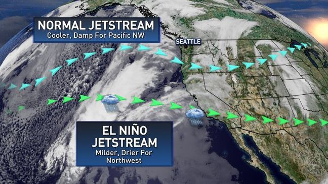 A graphic showing the impacts of an El Niño jet stream in the Pacific Northwest.{&nbsp;} (KOMO)