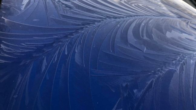 Pretty patterns of frost in Bothell. Photo credit: Mary Irving