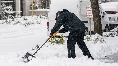 Image for story: Seattle is giving away snow shovels now. Here's how to get one