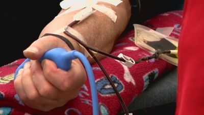Image for story: Save a life by donating blood this summer