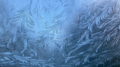 Image for story: How Mother Nature creates art on frosty windows