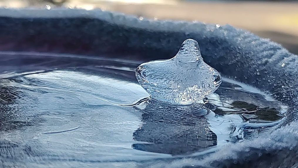 A frozen "bird" glides across on the ice on Brie Hawkins' bird bath in Bothell this week.