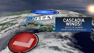 Image for story: Western Washington's version of Santa Ana winds? Cascadia winds explained